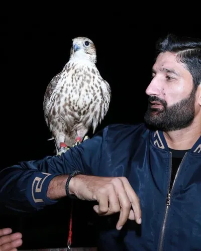 Sohail Tanvir